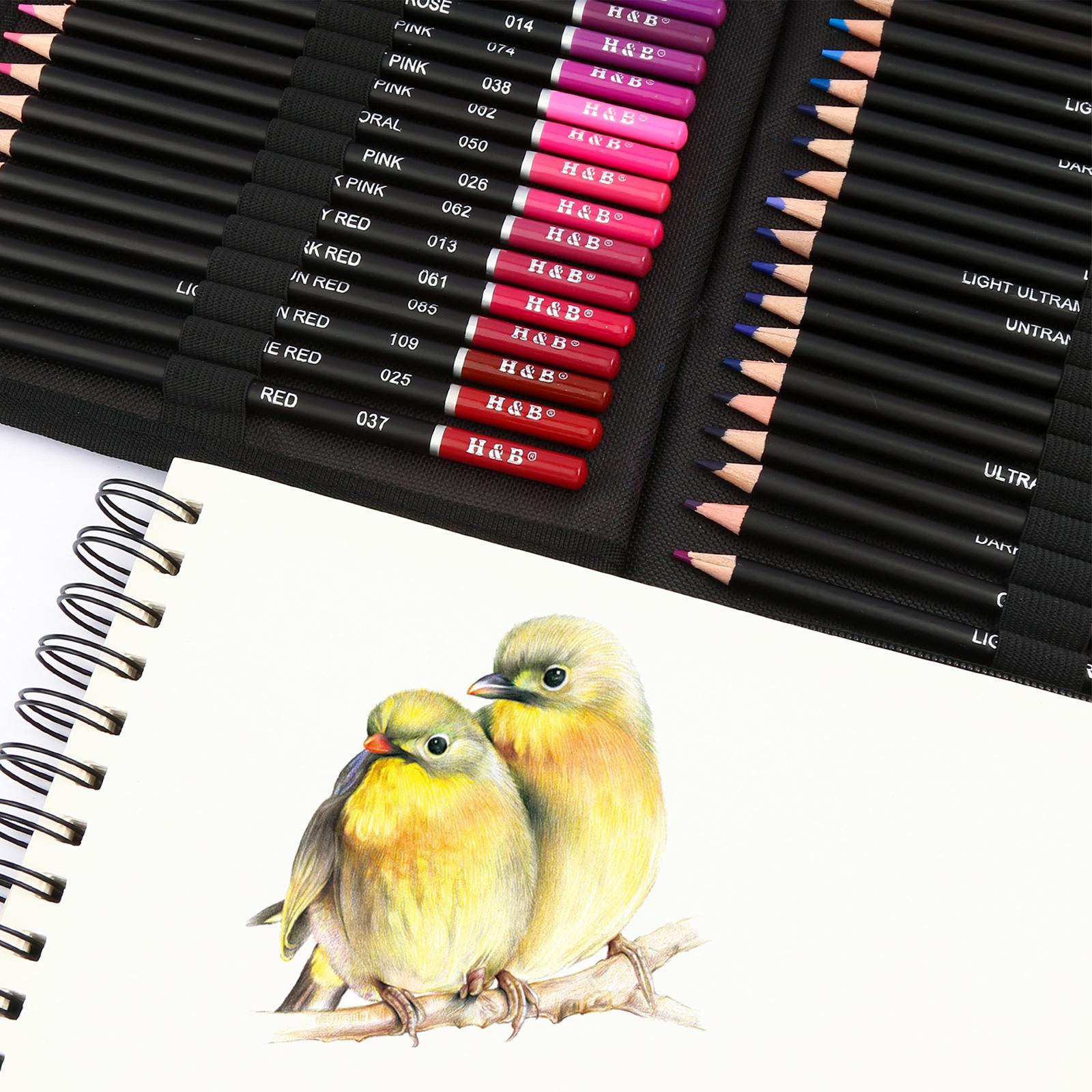 Sketching Charcoal Set - スケッチ用木炭鉛筆フルセット プレミアムマルチカラー描画ツール アートデザインやポートレート用