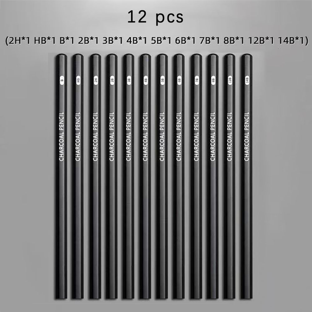 Sketching Charcoal Set - 学生向けスケッチ鉛筆12本セット、初心者向け木炭鉛筆セット、アートペイント用様々な硬度の鉛筆