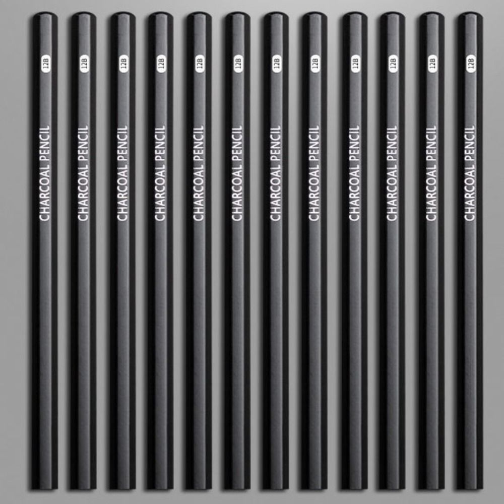 プロ仕様グラファイト混合スケッチ鉛筆画材チャコール鉛筆耐久性 - Sketching Charcoal Set のレビューと価格