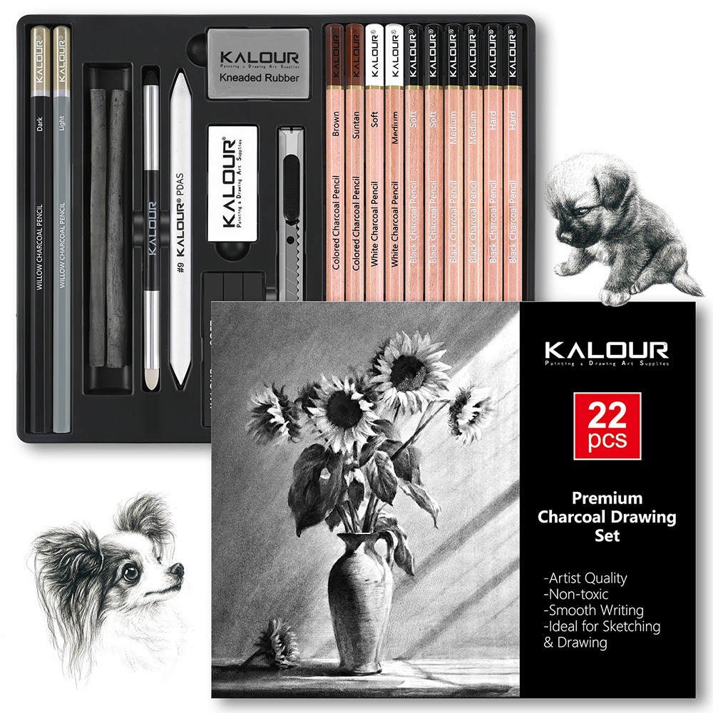 KALOUR 25/22本入りスケッチ鉛筆炭ツールセットプロ - Sketching Charcoal Set のレビューと価格