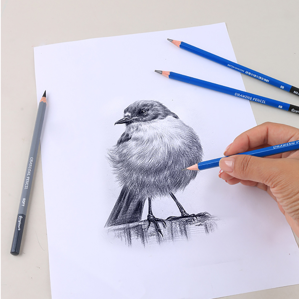 17ピーススケッチ鉛筆セット、学生用木炭画アート学生用ツール - Sketching Charcoal Set のレビューと価格